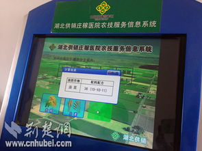 營(yíng)口市供銷合作社聯(lián)合社信息技術(shù)咨詢服務(wù) 賦能傳統(tǒng)供銷體系數(shù)字化轉(zhuǎn)型